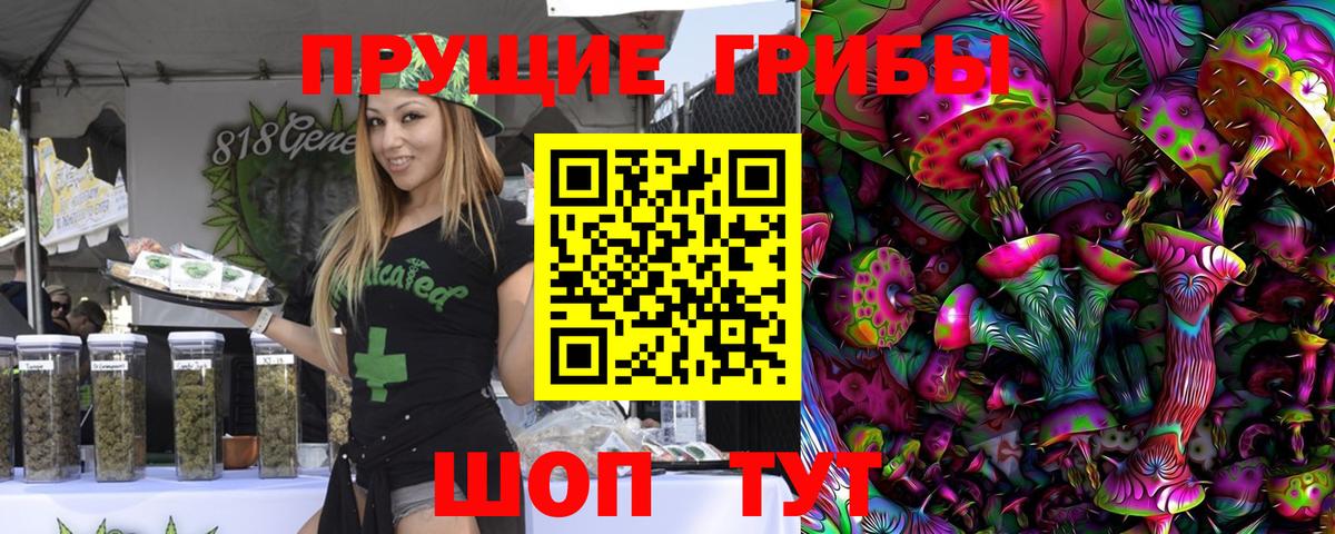 Галлюциногенные грибы Psilocybine cubensis Коломна