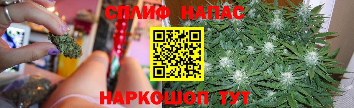 МАРИХУАНА сатива Коломна